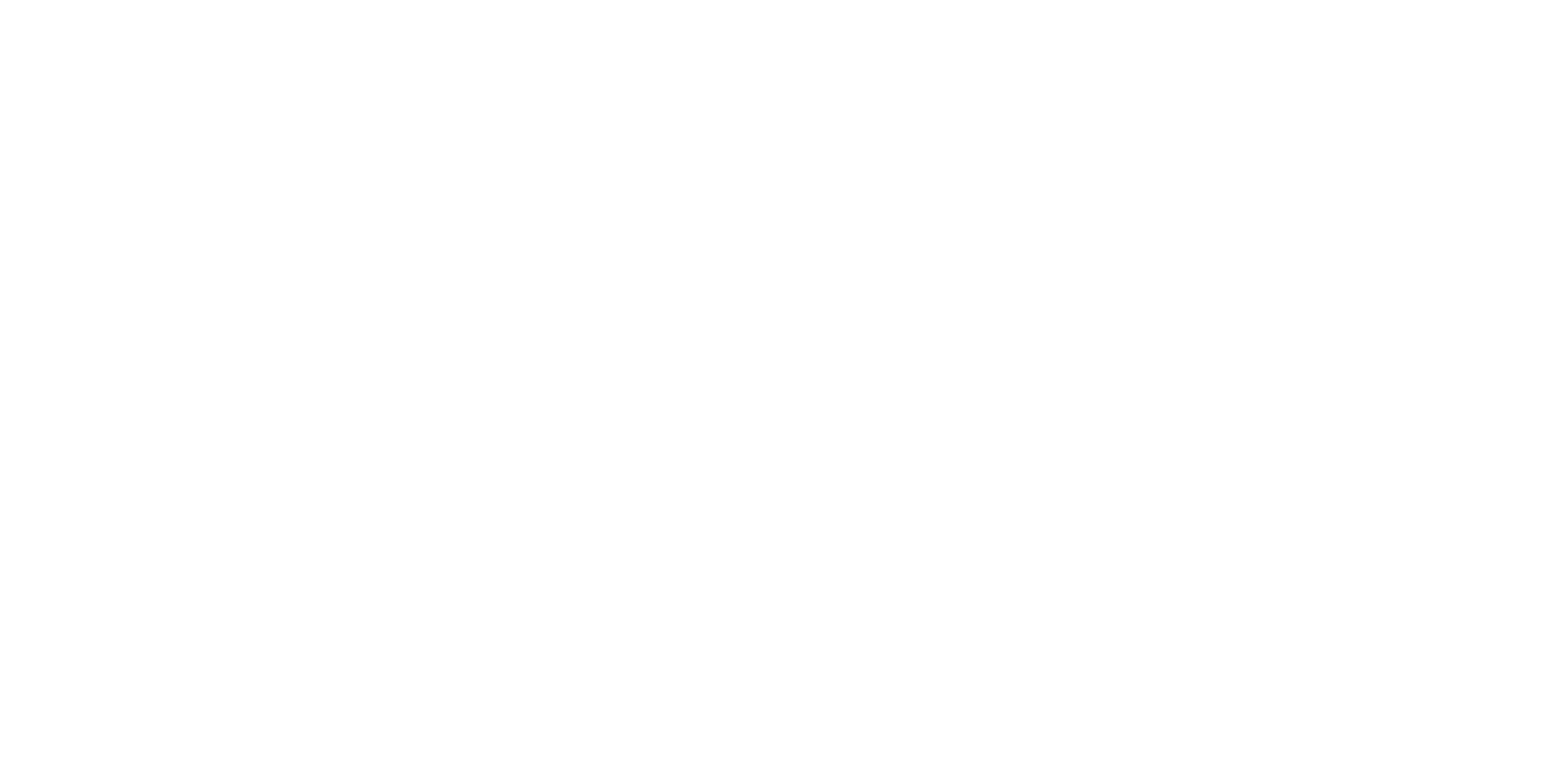 THE WHITE LION HOTEL